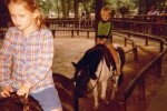 Uitsnede uit <a href="/lemma/Bestand:Ponymolen1981.jpg" title="Bestand:Ponymolen1981.jpg">Bestand:Ponymolen1981.jpg</a>