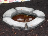eigen foto