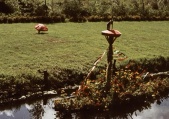 Tentoonstelling <a href="/lemma/S.L.E.M." title="S.L.E.M.">S.L.E.M.</a> 1953 - exterieur.