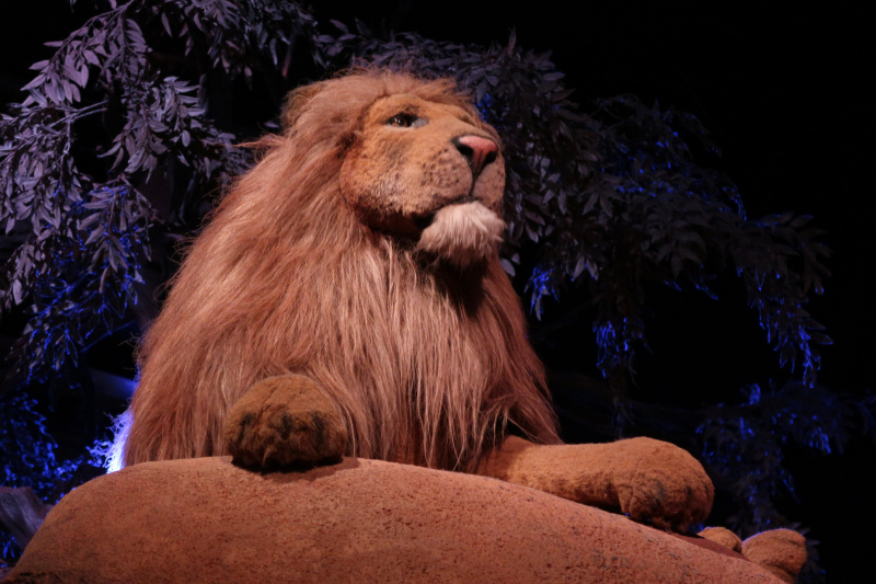 Bestand:Fabula Speelwereld Savanne Leopold.jpg