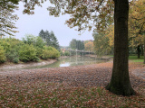 Nieuwe, glooiende oevers voor de Karpervijver in herfst 2019 - Foto: Eftepedia
