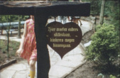 <a href="/lemma/Paddenstoelendorp" class="mw-redirect" title="Paddenstoelendorp">Paddenstoelendorp</a> met bordje in <a href="/lemma/1967" title="1967">1967</a>