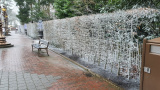 De <a href="/lemma/Pardoes_Promenade" title="Pardoes Promenade">Pardoes Promenade</a> voorzien van spuitsneeuw t.b.v. de opnames van <a href="/lemma/De_expeditie_van_familie_Vos" class="mw-redirect" title="De expeditie van familie Vos">De expeditie van familie Vos</a>, 22 januari 2020