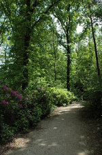 Eigen foto, mei 2008