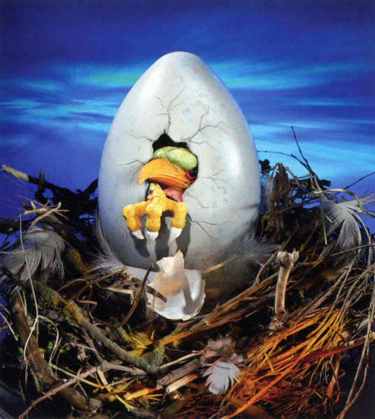 Bestand:Visualvogelrok1998-ecc.jpg