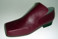 Schoen voor <a href="/lemma/Pardulfus" title="Pardulfus">Pardulfus</a>