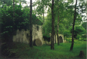 <a href="/lemma/Kinderspoor" title="Kinderspoor">Kinderspoor</a> juni 1998