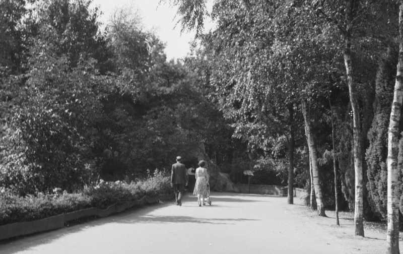 Bestand:1961 heidemij.jpg