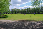 Blik op de <a href="/lemma/Speelweide" title="Speelweide">Speelweide</a>, mei <a href="/lemma/2009" title="2009">2009</a>