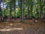 <a href="/lemma/Heksenpad" title="Heksenpad">Heksenpad</a> in oktober <span class="redlink">2008</span>