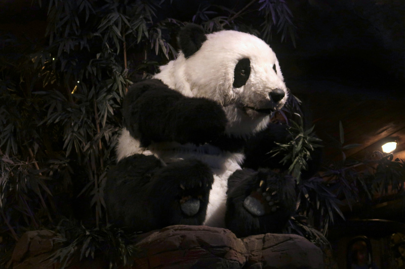 Bestand:PandaDroom Dierenwereld Tjin Ling.jpg