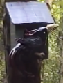 <a href="/lemma/Krakeeltje" title="Krakeeltje">Krakeeltje</a> in de jaren &#039;80, uit YouTube-serie &#039;&#039;De Magische Klok&#039;&#039;