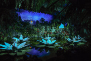 <a href="/lemma/De_Indische_Waterlelies" title="De Indische Waterlelies">De Indische Waterlelies</a> met het lichtplan van de show in bedrijf, nog zonder gans-figuren voor de climax, mei <span class="redlink">2009</span>