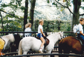 <a href="/lemma/Ponymanege" title="Ponymanege">Ponymanege</a> in de <a href="/lemma/Speeltuin" title="Speeltuin">Speeltuin</a> in <a href="/lemma/1981" title="1981">1981</a>