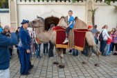 Een ritje op een kameel op het <a href="/lemma/Fata_Morganaplein" title="Fata Morganaplein">Fata Morganaplein</a>