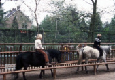 Rand van de <a href="/lemma/Speeltuin" title="Speeltuin">Speeltuin</a> met de <a href="/lemma/Europaweg" class="mw-redirect" title="Europaweg">Europaweg</a>, in de voorgrond de <a href="/lemma/Ponymanege" title="Ponymanege">Ponymanege</a> in <span class="redlink">1977</span>. Achter de Europaweg staan <a href="/lemma/Dienstwoning" title="Dienstwoning">dienstwoningen</a>.