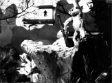 Bron: Efteling Museum tentoonstelling &#039;50 jaar Maanlichte Nachten&#039; (via Op den Loreley)