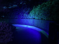 <a href="/lemma/Spooknacht" title="Spooknacht">Spooknacht</a> 3 op 4 september <span class="redlink">2022</span>
