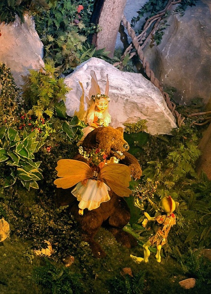 Bestand:Wonderwoud1.jpg