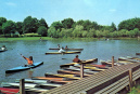De <a href="/lemma/Kanovijver" title="Kanovijver">Kanovijver</a> en een reepje van de <a href="/lemma/Witte_boerderij" title="Witte boerderij">witte boerderij</a>, jaren zestig