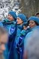 De Lichtpuntjes tijdens de Winter Efteling 2015-2016. Foto: Martijn van Gerwen