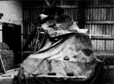 Bron: Efteling Museum tentoonstelling &#039;50 jaar Maanlichte Nachten&#039; (via Op den Loreley)