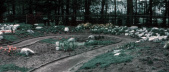 <a href="/lemma/Siertuin" title="Siertuin">Siertuin</a> in <a href="/lemma/1973" title="1973">1973</a>