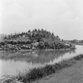 Het eiland op de <a href="/lemma/Siervijver" title="Siervijver">Siervijver</a>, juni <a href="/lemma/1958" title="1958">1958</a>.