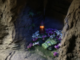 Gereed hemdje van asters in grotten van het slot der Zes Zwanen in 2019 - Foto: Eftepedia