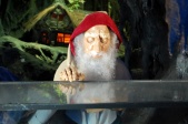eigen foto