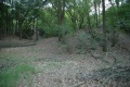 Terrein van voormalig bungalowpark <a href="/lemma/Het_Kraanven" title="Het Kraanven">Het Kraanven</a>, zomer 2009