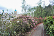 Zandpaadje langs de <a href="/lemma/Vonderplas" title="Vonderplas">Vonderplas</a>, april 2010 