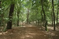 Terrein van voormalig bungalowpark <a href="/lemma/Het_Kraanven" title="Het Kraanven">Het Kraanven</a>, zomer 2009
