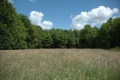 Terrein van voormalig bungalowpark <a href="/lemma/Het_Kraanven" title="Het Kraanven">Het Kraanven</a>, zomer 2009