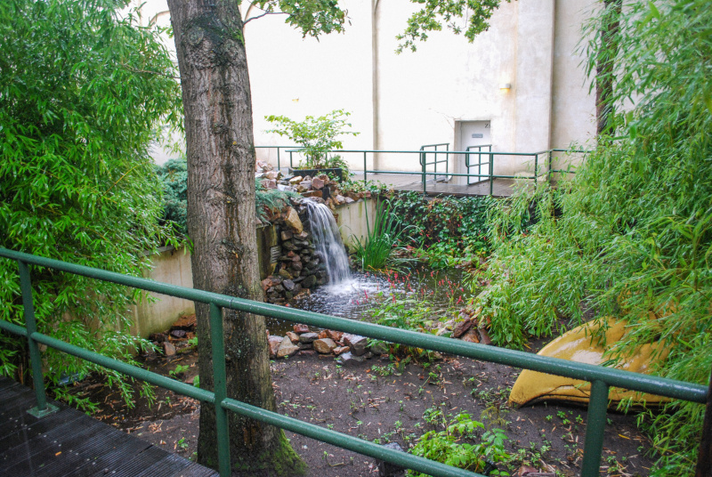 Bestand:Tuin-vogelrok-aug2010.jpg