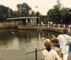Foto Efteling via sociaal medium