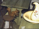 Interieur van slaapkamer van <a href="/lemma/De_Wolf_en_de_Zeven_Geitjes" title="De Wolf en de Zeven Geitjes">De Wolf en de Zeven Geitjes</a> met eekhoorn op kruk en <a href="/lemma/Pieckmuis" title="Pieckmuis">Pieckmuis</a>, eind jaren zeventig