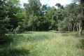 Terrein van voormalig bungalowpark <a href="/lemma/Het_Kraanven" title="Het Kraanven">Het Kraanven</a>, zomer 2009