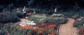 De <a href="/lemma/Siertuin" title="Siertuin">Siertuin</a> in <a href="/lemma/1978" title="1978">1978</a>