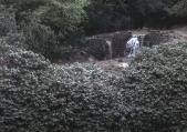 Waterval op het <a href="/lemma/Siervijver-eiland" title="Siervijver-eiland">Siervijver-eiland</a> in <a href="/lemma/1974" title="1974">1974</a>
