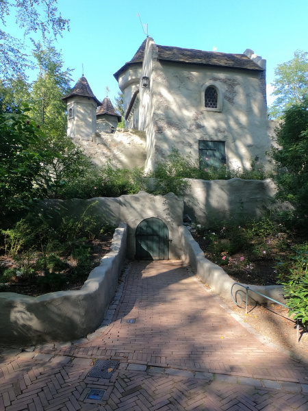 Bestand:DoornroosjeAchterkant.jpg