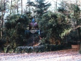 Winter 1998