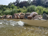 Enkele van de waterpijlschietertjes aan de binnenkant van de baan van de <a href="/lemma/Pira%C3%B1a" title="Piraña">Piraña</a>, het gedeelte als de vaart net buiten begint, sinds 2024.