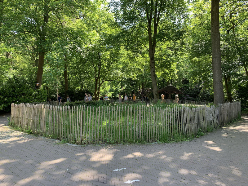Bestand:Holle weg.jpg
