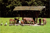 Scan uit fotoboekje 1978