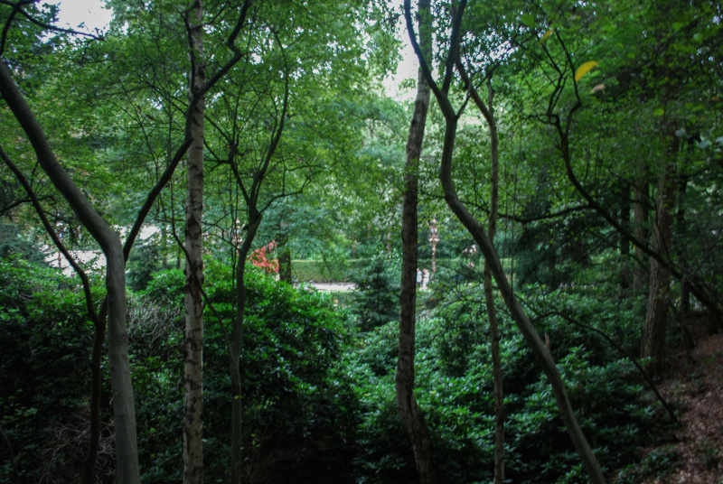 Bestand:Heksenpad-uitzicht-promenade-aug2010.jpg