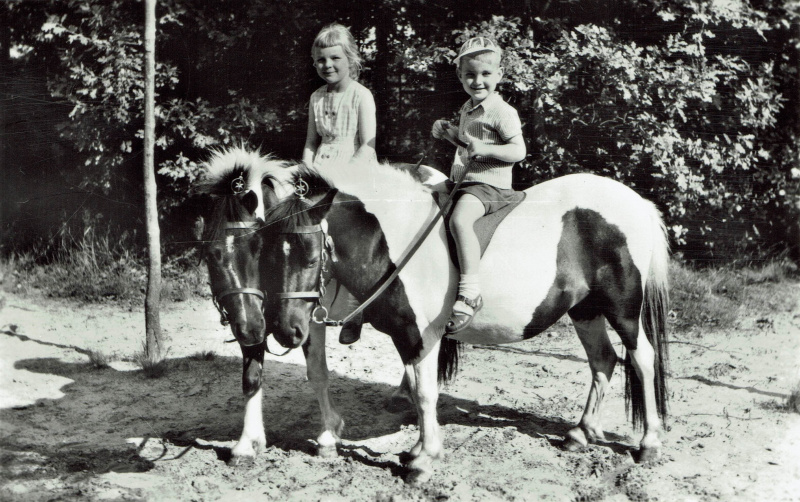 Bestand:PonymanegePonyPaar.jpg