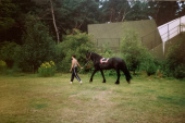 <a href="/lemma/Groot_Efteling_Zomercircus" class="mw-redirect" title="Groot Efteling Zomercircus">Groot Efteling Zomercircus</a>, 12 juli <span class="redlink">1991</span>