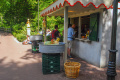 Smoothies bij de <a href="/lemma/Flierefluiter" title="Flierefluiter">Flierefluiter</a>, augustus <span class="redlink">2009</span>