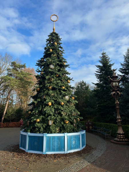 Bestand:Kerstboom-we2425.jpeg